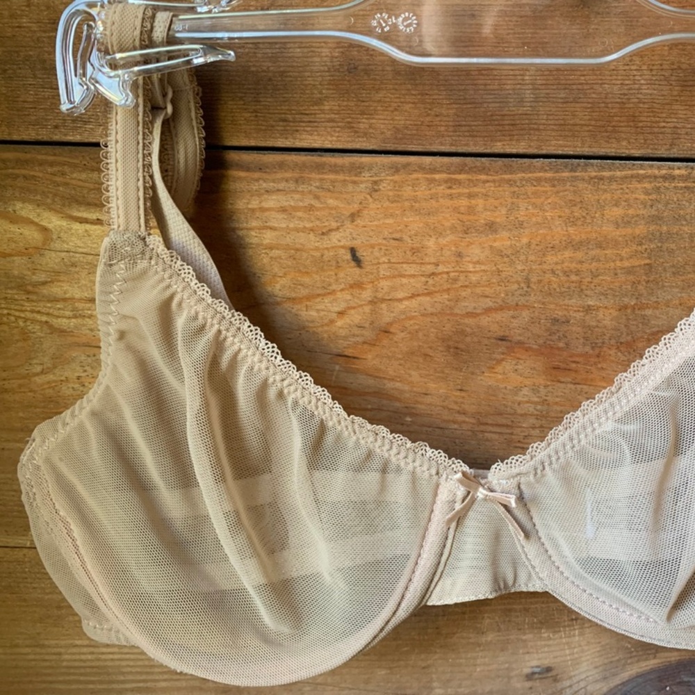 Sheer Mesh Underwire Bra